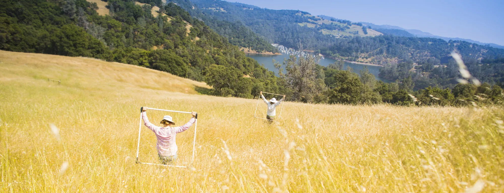 Two researchers hold quadrat squares for an ecological study in a field at Sierra Foothill Research and Extension Center