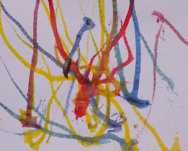 This work, Maggot Art, is by entomologist/artist Diane Ullman. (Photo by Kathy Keatley Garvey)