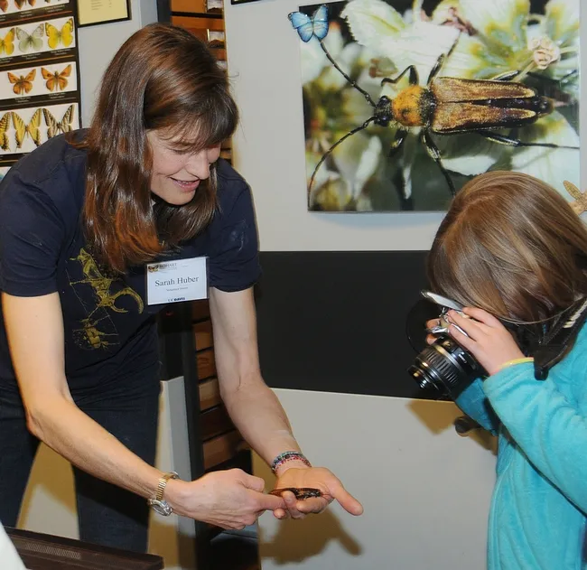 Bohart Museum volunteer Sarah Huber shows a student a Madagascar hissing cockroach. (Photo by Kathy Keatley Garvey)