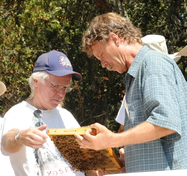 eekeepers Bill Cervenka (left) of Half Moon Bay and Randy Oliver of Grass Valley check out a frame in Healdsburg during a bee conference. (Photo by Kathy Keatley Garvey)