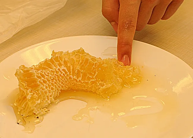 A taste of honey. (Photo by Kathy Keatley Garvey)