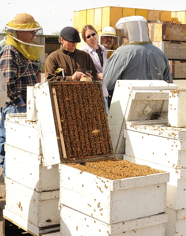C. F. Koehnens & Sons is one of the bee businesses mentioned in the book. Here Susan Cobey of UC Davis chats with Bob Koehnen (back to camera). (Photo by Kathy Keatley Garvey)
