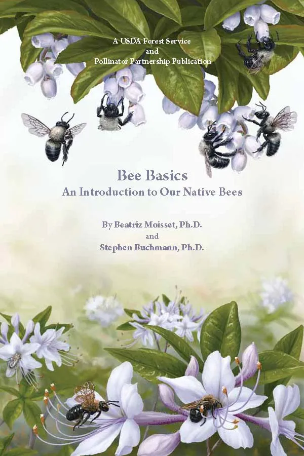 The cover of Bee Basics: An Introduction to Our Native Bees.