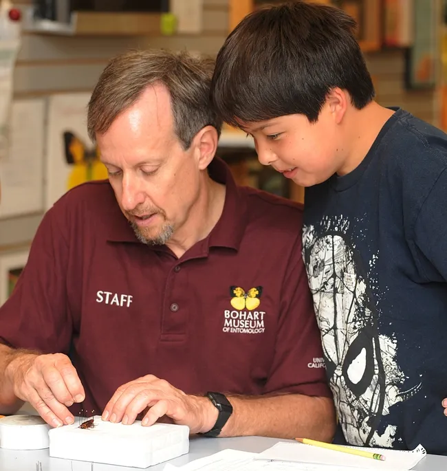 Senior museum scientist Steve Heydon shows his son, James, 10, around the Bohart Museum of Entomology. (Photo by Kathy Keatley Garvey)
