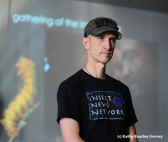 Emmet Brady is an innovator in the field of cultural entomology. (Photo by Kathy Keatley Garvey)