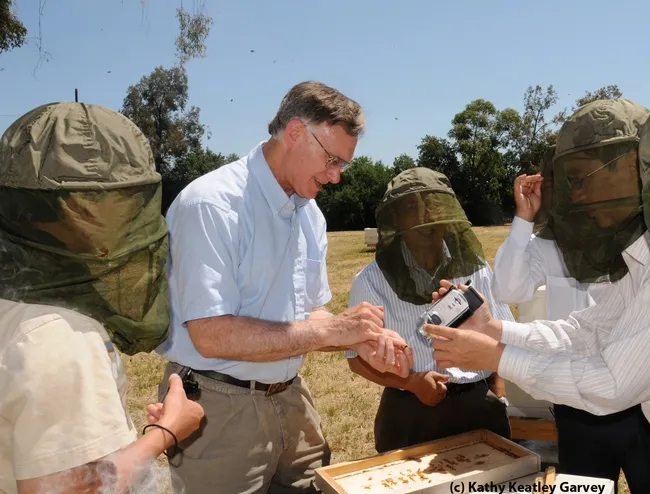 Extension apiculturist Eric Mussen talks to a tour group at the Harry H. Laidlaw Jr. Honey Bee Research Facility, UC Davis. (Photo by Kathy Keatley Garvey)