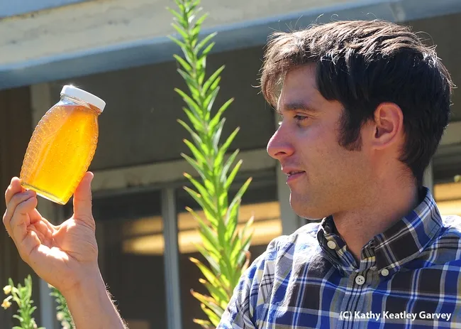 UC Davis staff research associate/beekeeper Billy Synk admires a freshly bottled jar of honey. (Photo by Kathy Keatley Garvey)