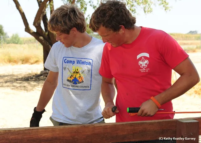 Derek Tully (right) and fellow scout Willie Hawkins work on the fence surrounding the half-acre pollinator garden. (Photo by Kathy Keatley Garvey)