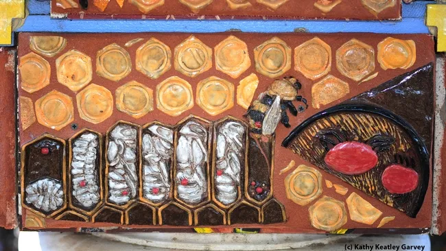 This work, showing the developmental stages of a worker honey bee, is by artist Donna Billick. (Photo by Kathy Keatley Garvey)