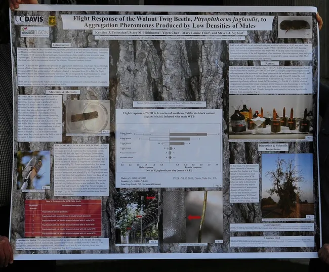 The poster that Kristina Tatiossian created. (Photo by Kathy Keatley Garvey)