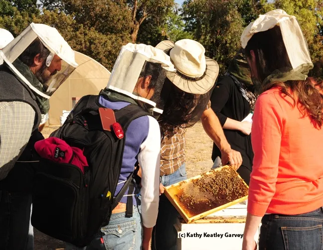 Billy Synk shows a frame to the visitors. (Photo by Kathy Keatley Garvey)