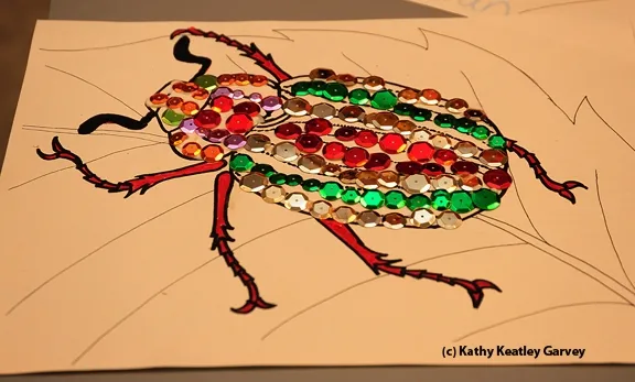 A jeweled beetle, part of the arts and crafts activity. (Photo by Kathy Keatley Garvey)
