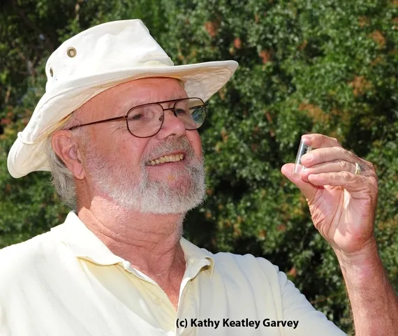 Native pollinator specialist Robbin Thorp, emeritus professor of entomology at UC Davis. (Photo by Kathy Keatley Garvey)
