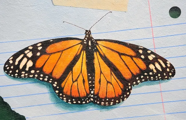 And closer. (Photo by Kathy Keatley Garvey)