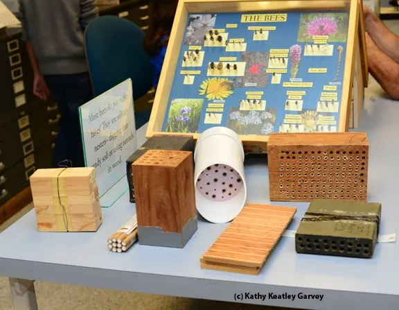 Close-up of bee nesting sites shown March 2 at the Bohart Museum of Entomology. (Photo by Kathy Keatley Garvey)