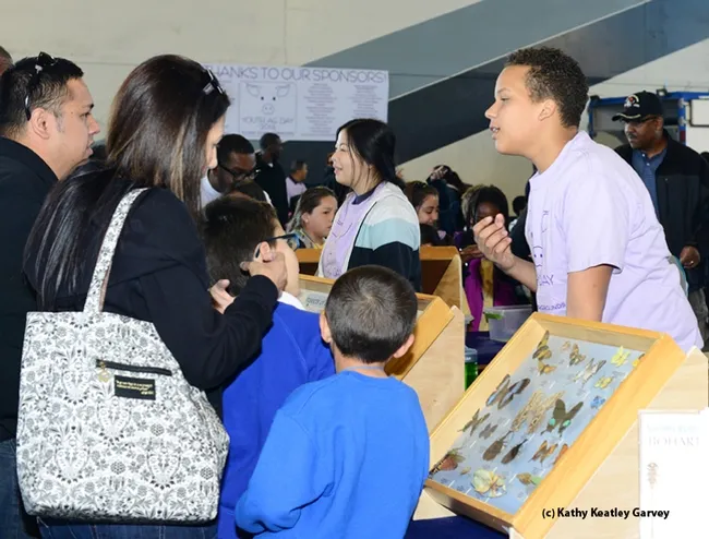 Bohart Museum volunteers Maia Lundy and Noah Crockette answer questions. (Photo by Kathy Keatley Garvey)