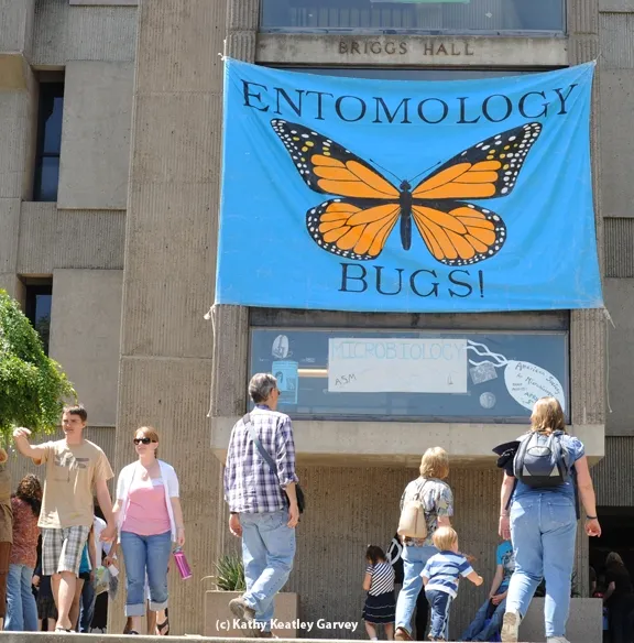 Briggs Hall will be busy on Saturday, April 12 during the annual campuswide UC Davis Picnic Day. (Photo by Kathy Keatley Garvey)