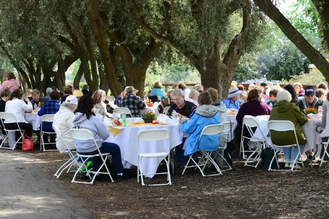 DAR members celebrating the bees beneath the olive trees on Bee Biology Road. DAR members celebrating the bees beneath the olive trees on Bee Biology Road.