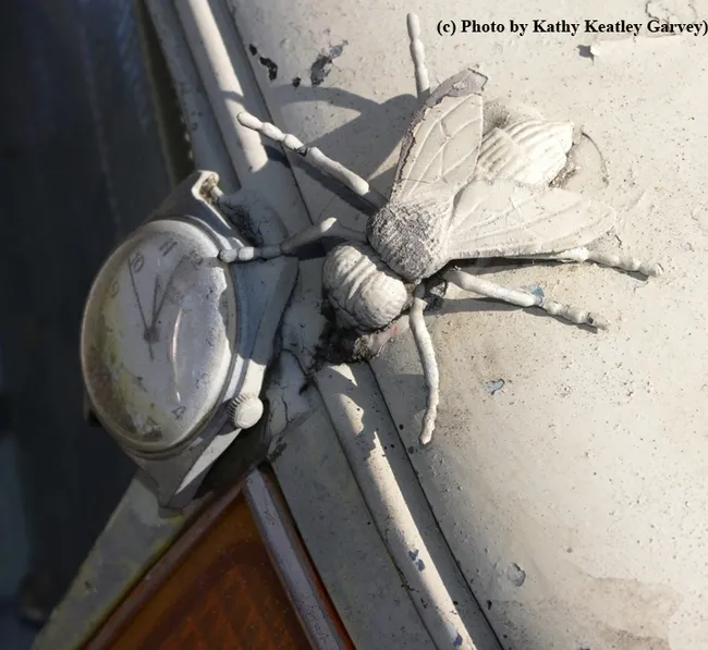 Time will tell. (Photo by Kathy Keatley Garvey)