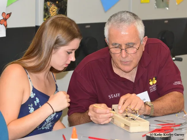 Entomologist Jeff Smith shows Cassidy Hansen fof Rio Vista how to pin a butterly. (Photo by Kathy Keatley Garvey)