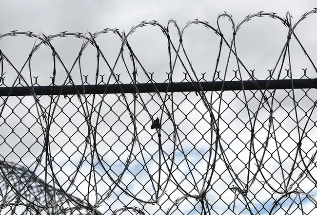 This Monarch butterfly, reared by inmates at the Washington State Penitentiary, heads for freedom. (Photo by David James)