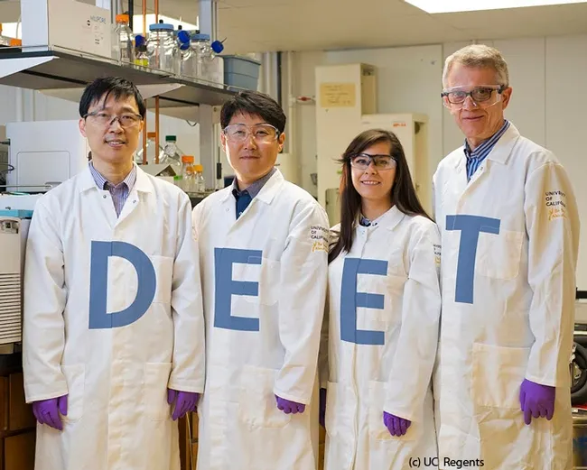 UC Davis scientists in the Walter Leal lab have discovered the odorant receptor in the Culex mosquito that repels DEET. From left are
project scientist Pingxi Xu; postdoctoral scholar Young-Moo Choo; AgChem graduate student Alyssa De La Rosa; and Professor Leal. (Photo credit: Academic Technology Services/Mediaworks)