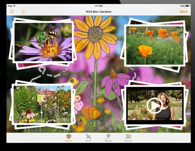 "Wild Bee Gardens" is the first known conservation app for North American native bees
