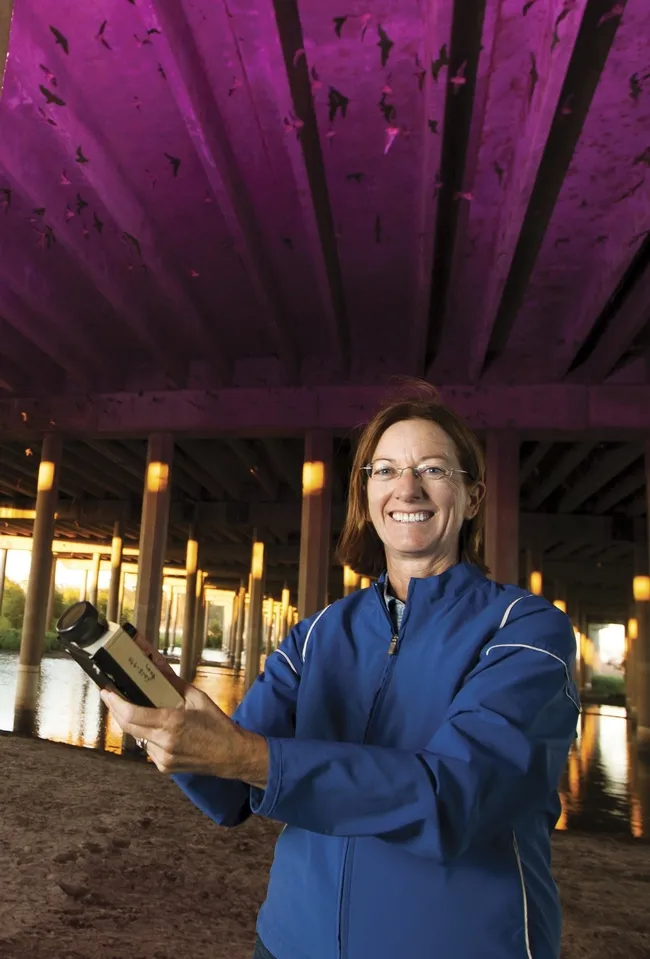 Rachael Long beneath the Yolo Causeway with a bat detector. Notice the bats in the photo. (Photo courtesy of the California Farm Bureau Federation)