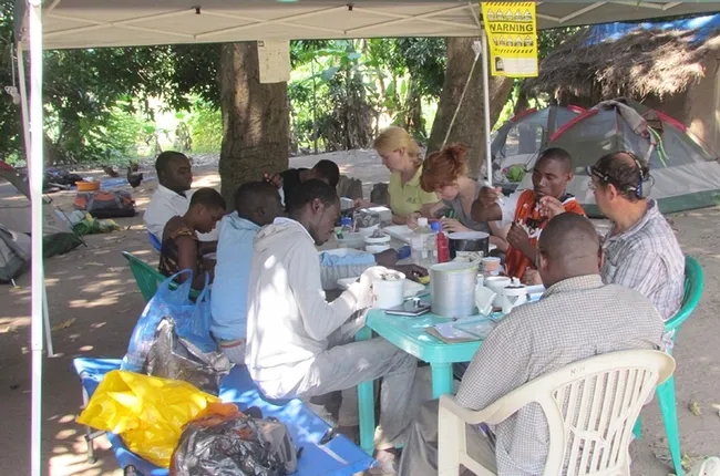 Medical entomologist Laura Norris (right side of table, second from top) works with a night's catch of mosquitoes in Mali.
