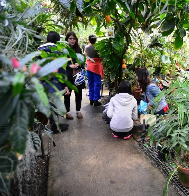 Visitors enjoying the UC Davis Botanical Conservatory. (Photo by Kathy Keatley Garvey)