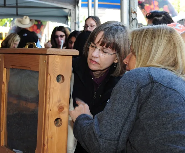 Admiring the bees is Barbara Arciero, managing editor of California Bountiful magazine. With her is beekeeper Wendy Mather. (Photo by Kathy Keatley Garvey)