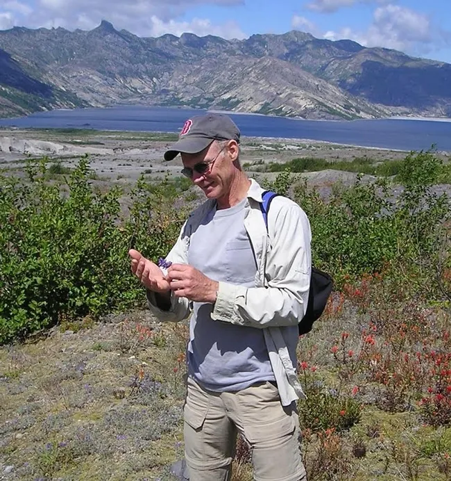 George Kennedy, the William Neal Reynolds Distinguished Professor of Agriculture at North Carolina State University, stopped to count thrips during a vacation to Mt. St. Helens. (Photo by Scott Kennedy)