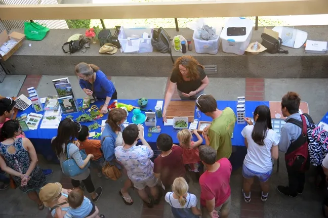 A bird's eye view of the UC IPM display in front of Briggs Hall during the 101st annual campuswide Picnic Day. Staffing the tables are Extension entomologist specialist emeritus Mary Lou Flint (left), former associate director for urban and community IPM and Karey Windbiel-Rojas who replaced Flint. (Photo by Kathy Keatley Garvey)