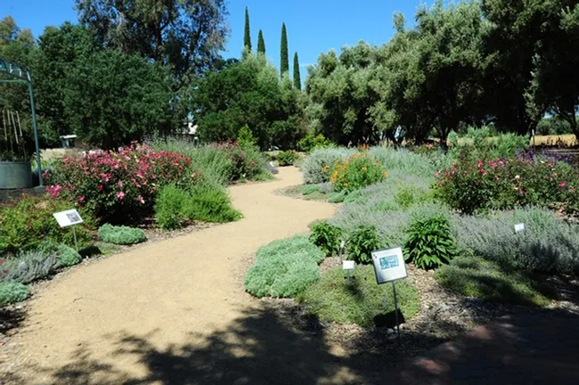 Several years after it was planted, the bee garden looked quite mature. This photo was taken May 22, 2012. This year it is five years old. (Photo by Kathy Keatley Garvey)