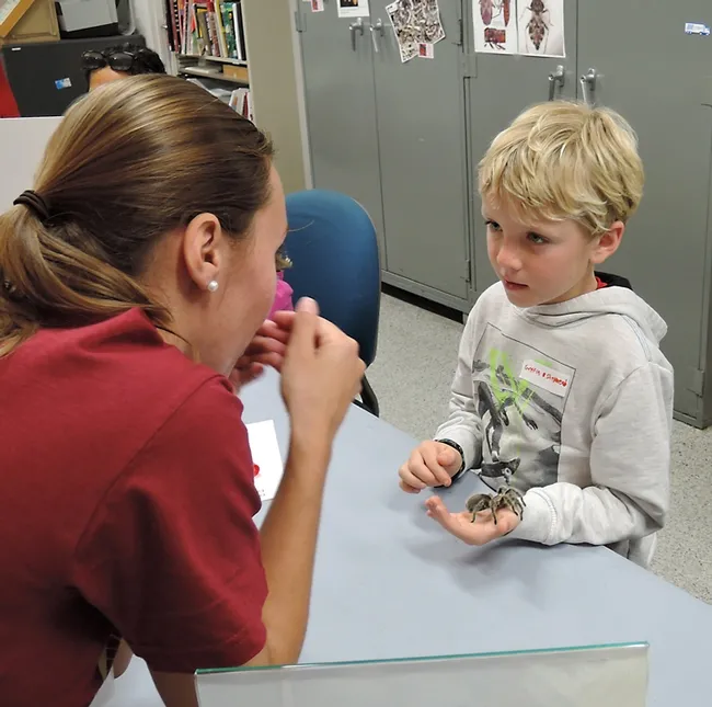 UC Davis entomology graduate student Jéssica Gillung engages Griffin Shepherd, 7, of Winters, as she talks about a rose-haired tarantula. (Photo by Kathy Keatley Garvey)