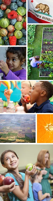 Collage of California state flag, farmland, produce, a garden, and children eating fruits.