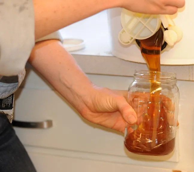 A jar of honey gleaming in the sun. (Photo by Kathy Keatley Garvey)