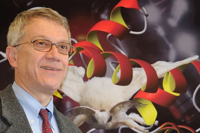 Walter Leal: an entomologist without borders. (Photo by Kathy Keatley Garvey)