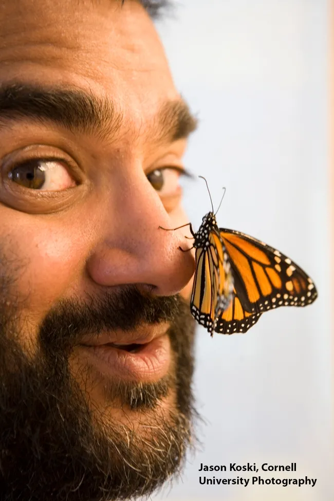 Anurag Agrawal and his friend, a monarch butterfly. (Jason Koski, Cornell University Photography)