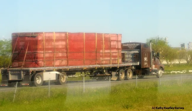 A truck loaded with bee hives. Image taken through a car window. (Photo by Kathy Keatley Garvey)