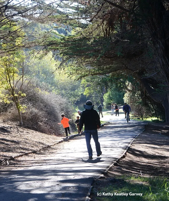 The path to the 14th hole of the disc golf course at the Berkeley Aquatic Park is an easy one, and about a quarter of a mile from the parking lot. (Photo by Kathy Keatley Garvey)