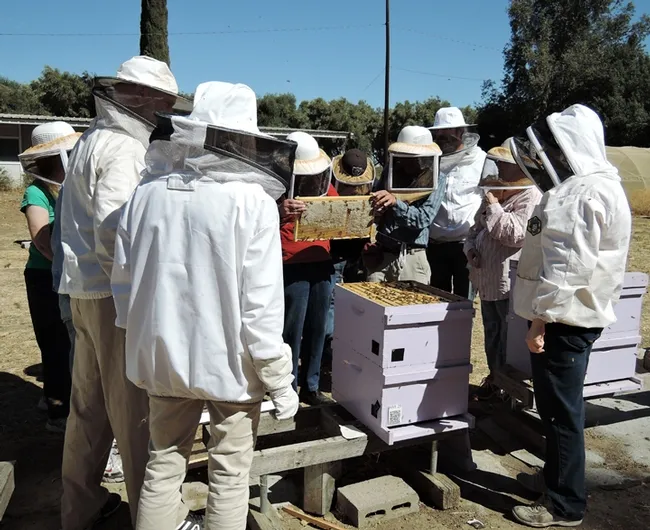 Participants from a 2015 class check out a frame. (Photo by Kathy Keatley Garvey)