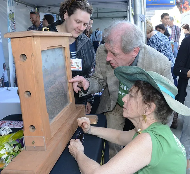 Beekeepers Paul Hansbury and his wife, Susan (kneeling) of Laytonville, Mendocino County, Calif. look at the bees with Extension apiculturist Elina Niño. The Hansburys, wearing "I Am a Farmer" shirts, grow fruits-- including apples, pears, plums, cherries and strawberries--and also medical cannabis. (Photo by Kathy Keatley Garvey)