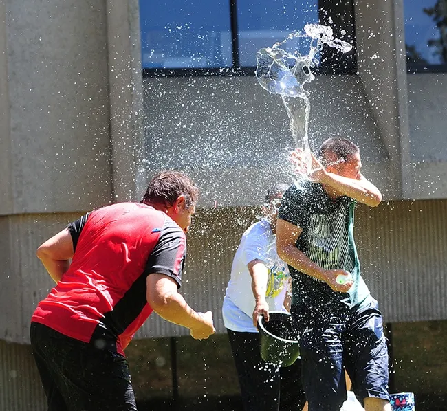 Ting Xu (far right), a visiting professor from China, gets splashed. At left is Hammock lab research scientist Christopher Morisseau. Associate professor Aldrin Gomes is in the background. (Photo by Kathy Keatley Garvey)