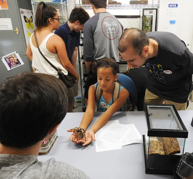 Milo Kovet, a student in Fran Keller's class at Folsom Lake College, watches as his daughter, Paschela Kovet, 8, holds a tarantula. (Photo by Kathy Keatley Garvey)