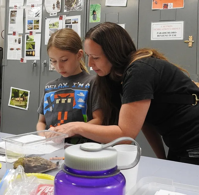 At the Bohart open houses,there are family activities. Here Echo Valor, 8, of Rio Linda, makes a button with assistance from his mother, Nika Valor. (Photo by Kathy Keatley Garvey)