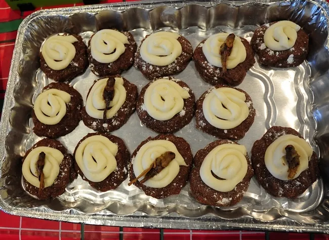 Chocolate Chirp Cookies, the work of Heather Baker, UC Davis graduate student studying malaria mosquitoes. (Photo by Kathy Keatley Garvey)