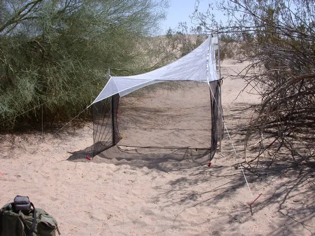 Site of where the Neopalpa donaldtrumpi was discovered by Bohart Museum of Entomology researchers. (Photo by Lynn Kimsey)