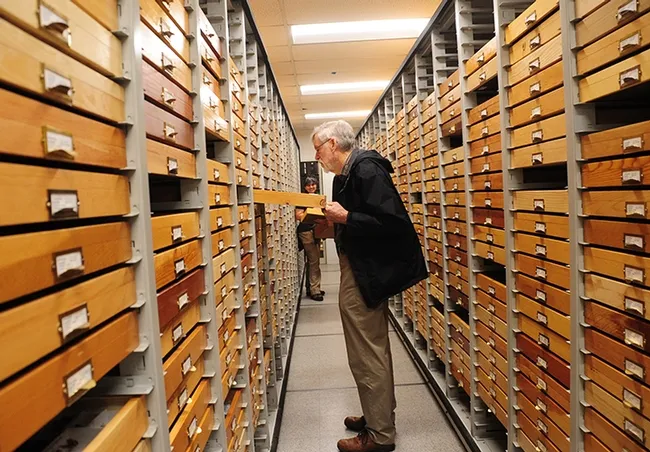 Bohart Museum and Essig Museum associate Bill Patterson opens a drawer at the Bohart Museum. (Photo by Kathy Keatley Garvey)