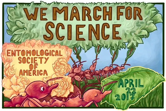 Insects "March for Science" in this art work by ESA member Carly M. Tribull.